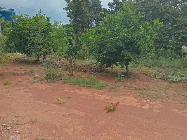 Imagem 7: Chácara em Leopoldo Bulhões, 2Mil Metros