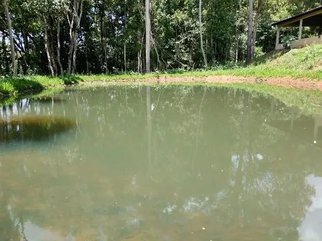 Imagem 15: Chácara 5000M², Casa Grande, 3Q, Varanda, Tanque Peixe, Pomar, Cercada, 4Km Aragoiânia