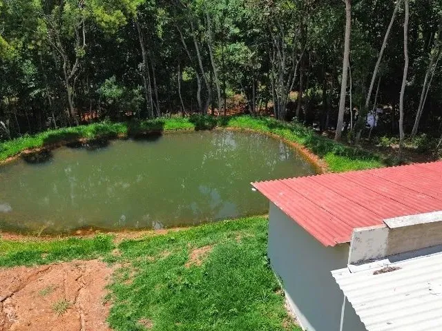 Imagem 16: Chácara 5000M², Casa Grande, 3Q, Varanda, Tanque Peixe, Pomar, Cercada, 4Km Aragoiânia