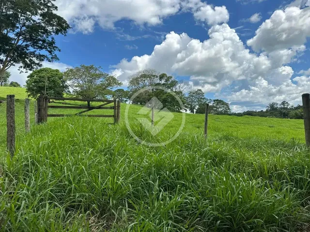 Imagem 4: Chácara Próximo de Goiânia Codigo: 141036