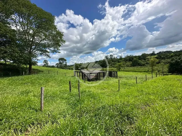 Imagem 7: Chácara Próximo de Goiânia Codigo: 141036