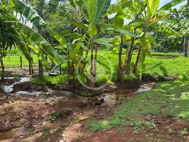 Imagem 8: Chácara Próximo de Goiânia Codigo: 141036