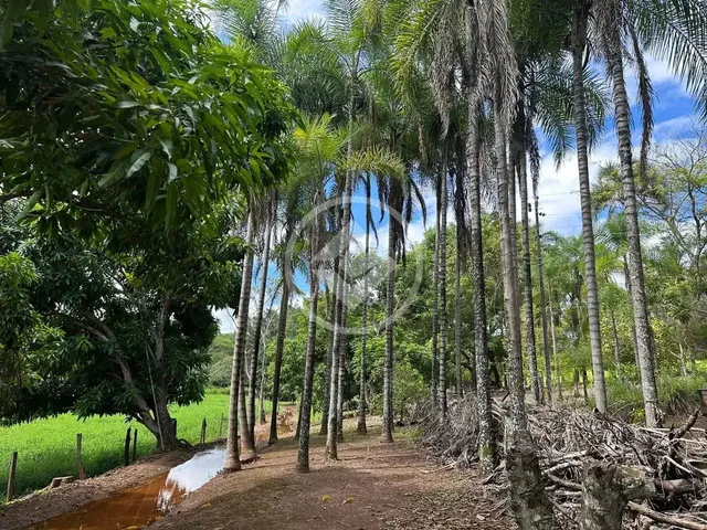 Imagem 6: Chácara Próximo de Goiânia Codigo: 141036