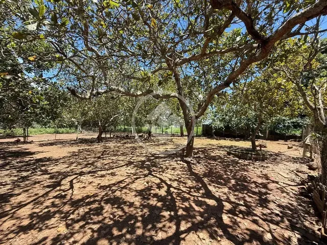 Imagem: Hidrolândia - Chácara de 5.000 M² Codigo