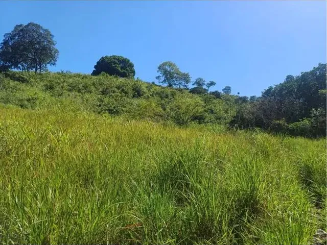 Imagem: Uma Area de 11.72 Hectare Equivale a 2/5
