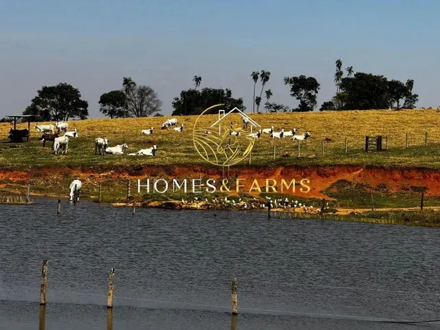Imagem: A fazenda possui 47m² de Área e está localizado em Setor