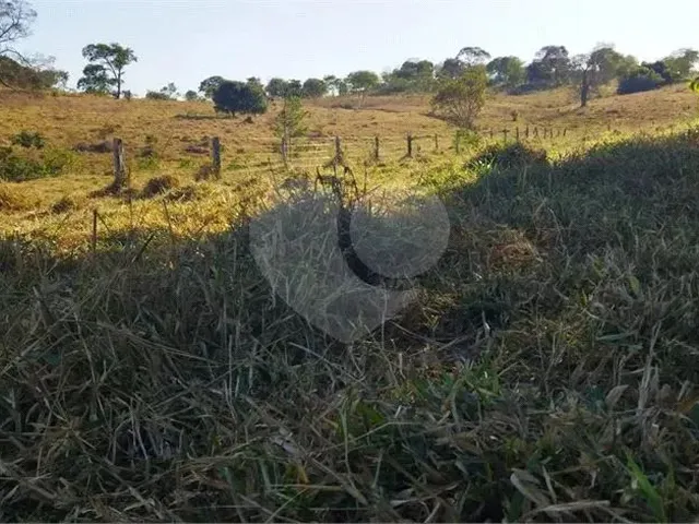 Imagem 16: Fazenda À Venda em Centro - Go