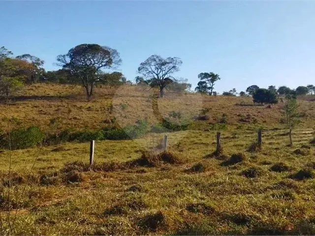 Imagem 9: Fazenda À Venda em Centro - Go