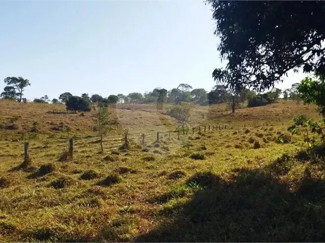 Imagem 4: Fazenda À Venda em Centro - Go