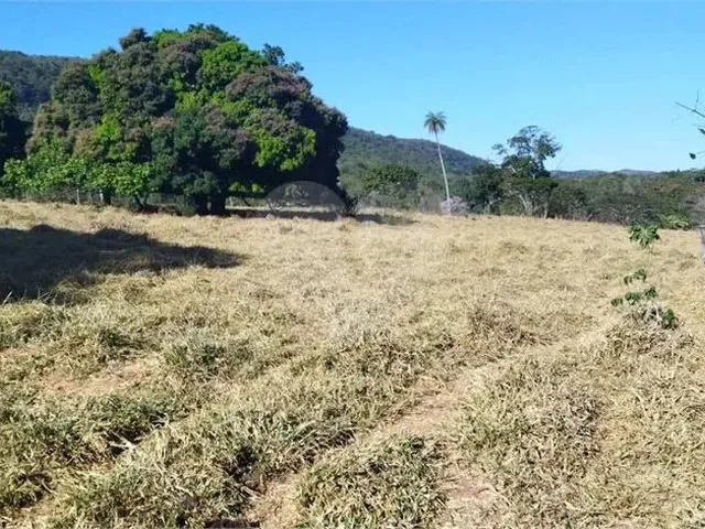 Imagem 11: Fazenda À Venda em Centro - Go
