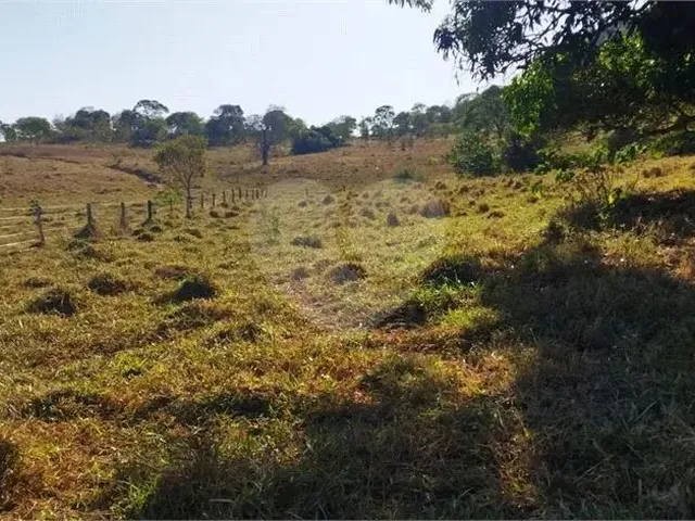 Imagem 7: Fazenda À Venda em Centro - Go