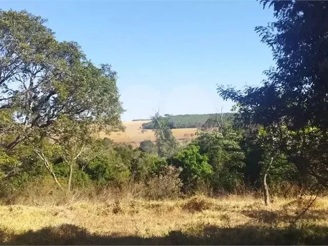 Imagem 6: Fazenda À Venda em Centro - Go