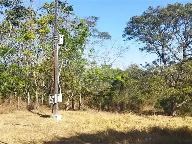 Imagem 13: Fazenda À Venda em Centro - Go