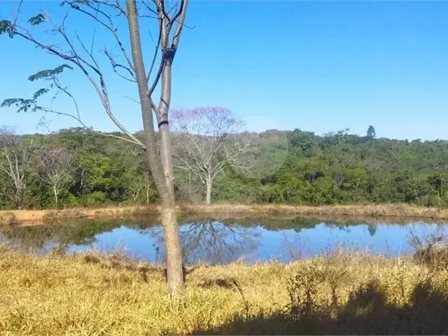 Imagem 3: Fazenda À Venda em Centro - Go