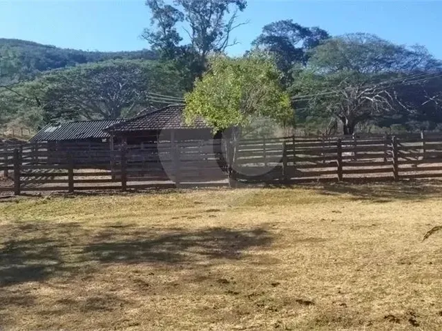 Imagem 10: Fazenda À Venda em Centro - Go