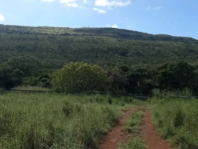 Imagem: Fazenda com 28 Alqueires Documentada Casa