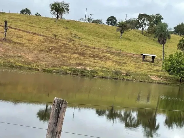 Imagem 6: Fazenda a Venda em Trindade - Goiás!!!