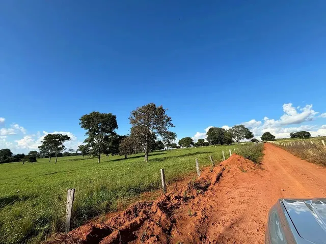 Imagem 14: Fazenda a Venda em Trindade - Goiás!!!
