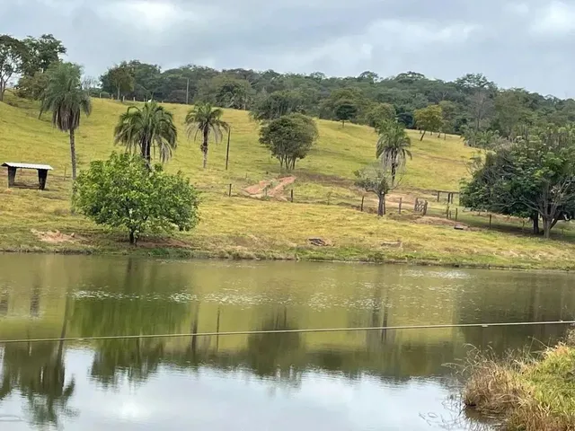 Imagem 5: Fazenda a Venda em Trindade - Goiás!!!