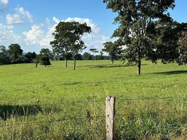 Imagem 16: Fazenda a Venda em Trindade - Goiás!!!