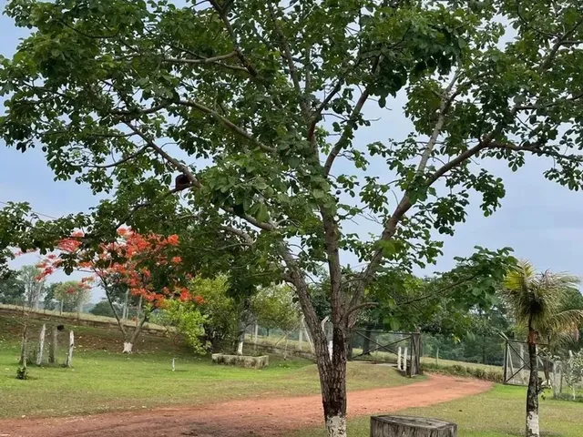 Imagem 8: Fazenda a Venda em Trindade - Goiás!!!