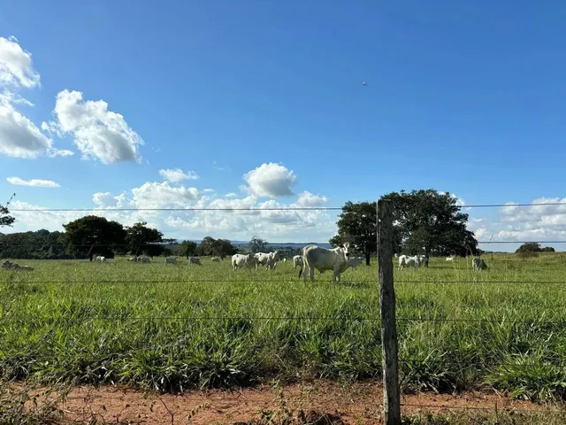 Imagem 9: Fazenda a Venda em Trindade - Goiás!!!