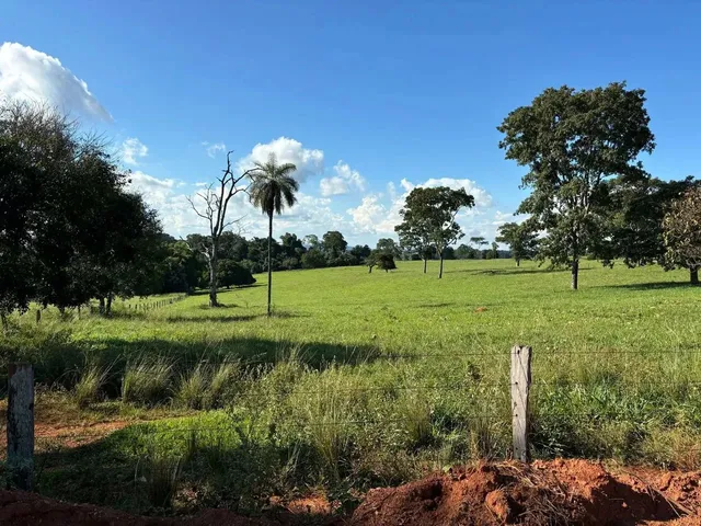 Imagem 15: Fazenda a Venda em Trindade - Goiás!!!