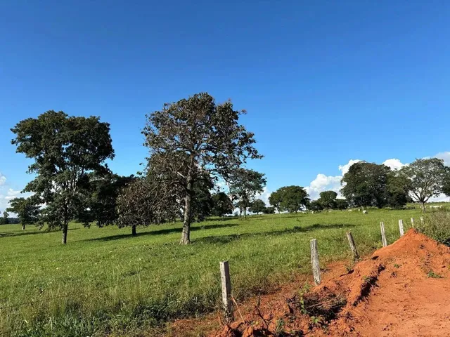 Imagem 4: Fazenda a Venda em Trindade - Goiás!!!