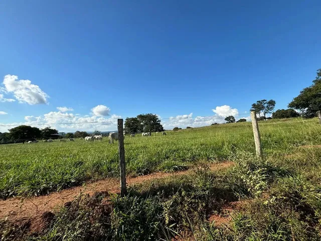 Imagem 10: Fazenda a Venda em Trindade - Goiás!!!