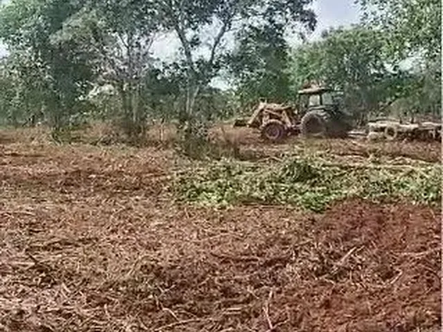 Imagem: Fazenda de 126 Alqueires (302,4 Hectares)