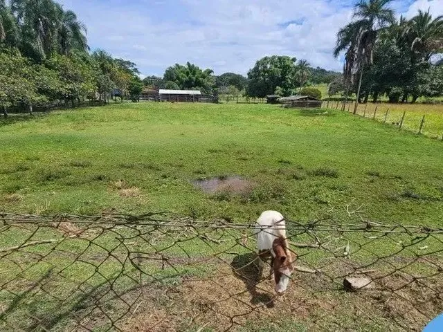 Imagem 6: Chacara Rural em Trindade - Go, Santuário