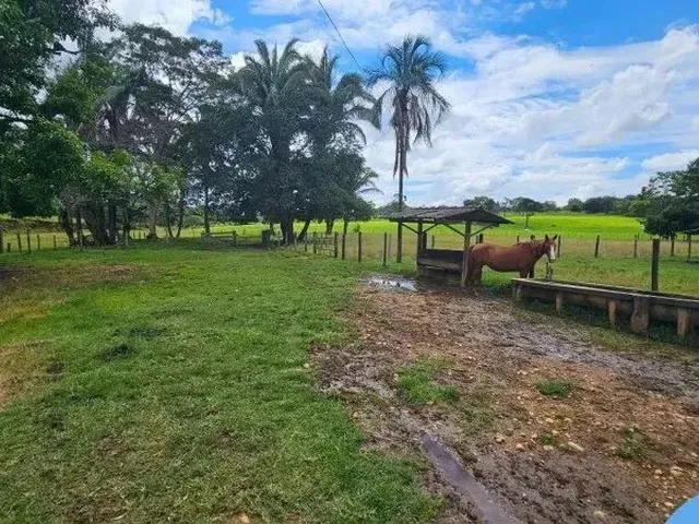 Imagem 16: Chacara Rural em Trindade - Go, Santuário