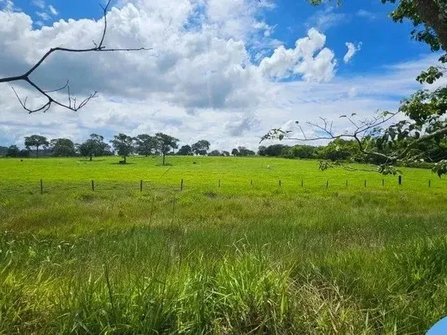 Imagem 11: Chacara Rural em Trindade - Go, Santuário