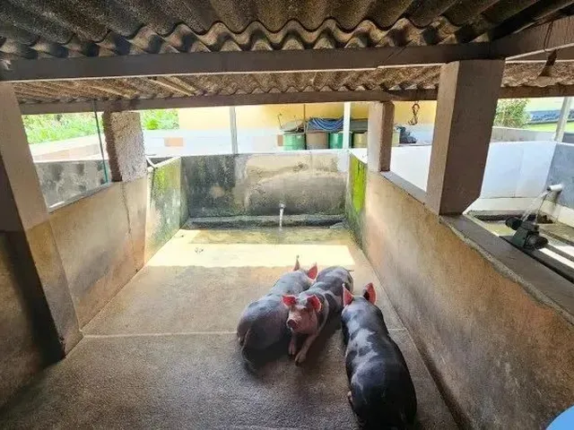 Imagem 12: Chacara Rural em Trindade - Go, Santuário