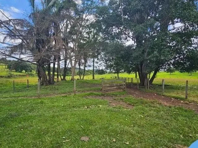 Imagem 10: Chacara Rural em Trindade - Go, Santuário