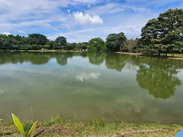 Imagem 2: Chacara Rural em Trindade - Go, Santuário