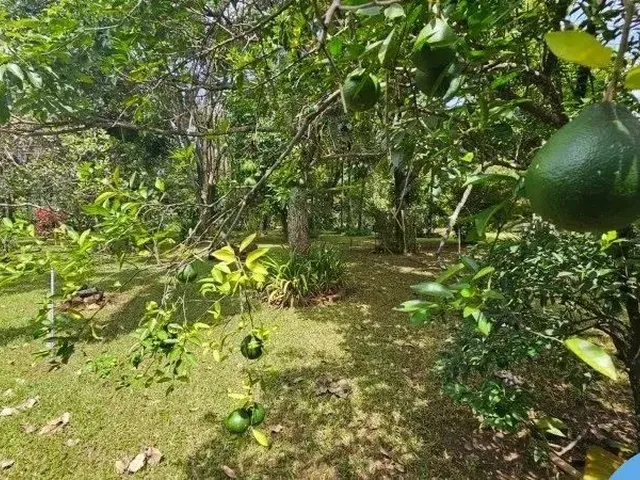 Imagem 15: Chacara Rural em Trindade - Go, Santuário