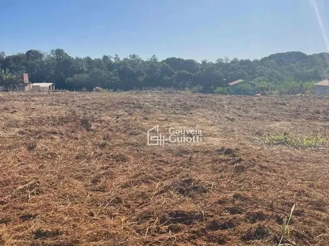 Imagem 2: Chácara com 1 Dormitório À Venda, 4000 M² por R$ 180.000,00 - Distrito Agroindustrial