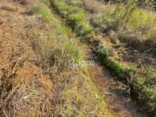 Imagem 3: Chácara com 1 Dormitório À Venda, 4000 M² por R$ 180.000,00 - Distrito Agroindustrial