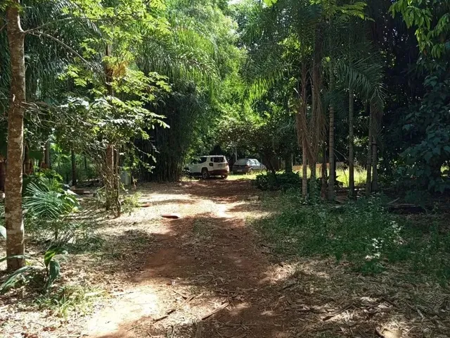 Imagem 3: Vendo Chácara 6 Alqueires Itaberaí/Go