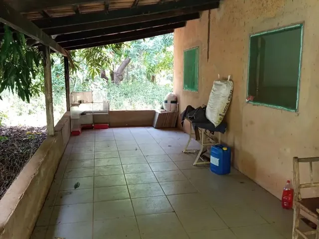 Imagem 15: Vendo Chácara 6 Alqueires Itaberaí/Go