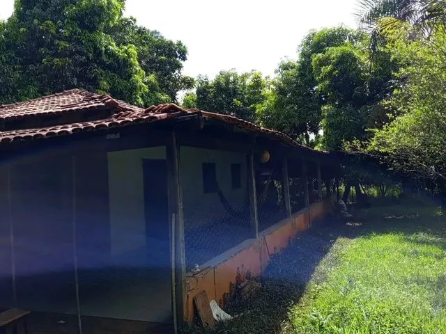 Imagem 6: Vendo Chácara 6 Alqueires Itaberaí/Go