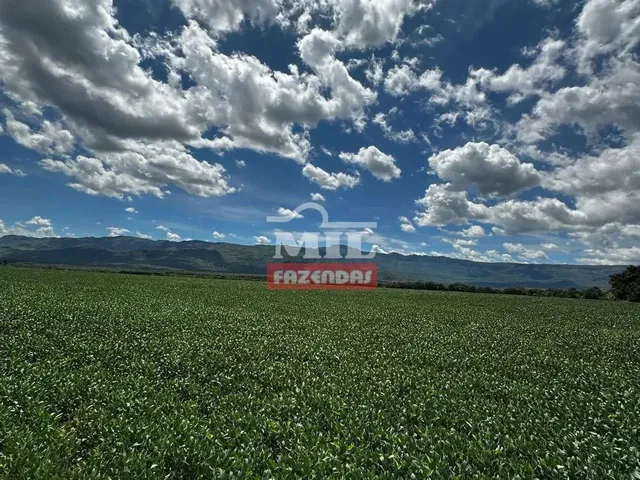 Imagem: Fazenda 363 Alqueires ( 1.760 Hectares )