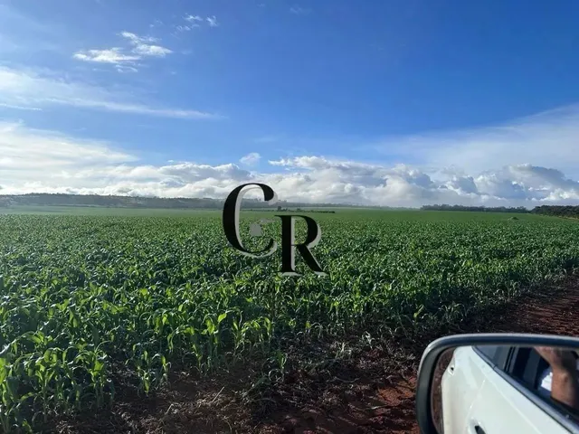 Imagem: Fazenda em São João da Aliança Go - 248