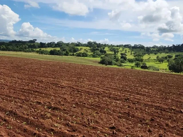 Imagem: Fazenda a Venda, em Uruana - Goiás
