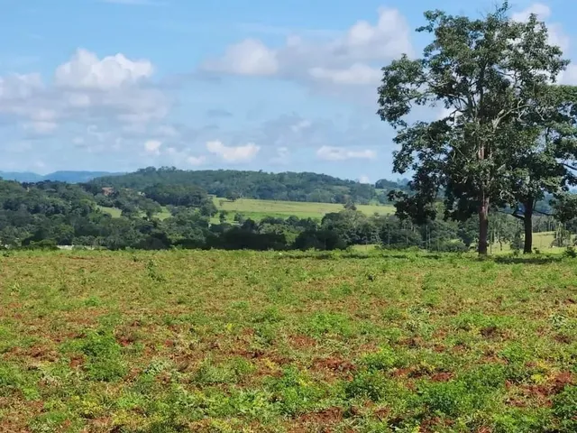 Imagem 15: Fazenda a Venda, em Uruana - Goiás