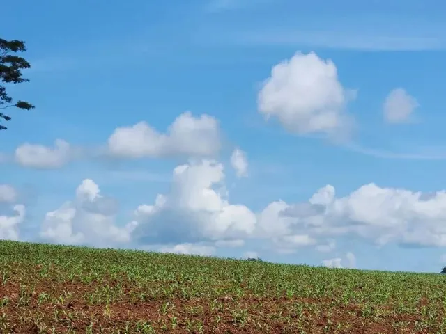 Imagem 13: Fazenda a Venda, em Uruana - Goiás