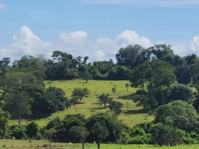 Imagem 8: Fazenda a Venda, em Uruana - Goiás