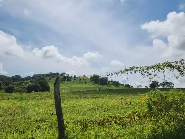Imagem 4: Fazenda a Venda, em Uruana - Goiás