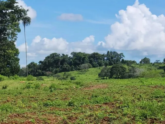 Imagem 6: Fazenda a Venda, em Uruana - Goiás